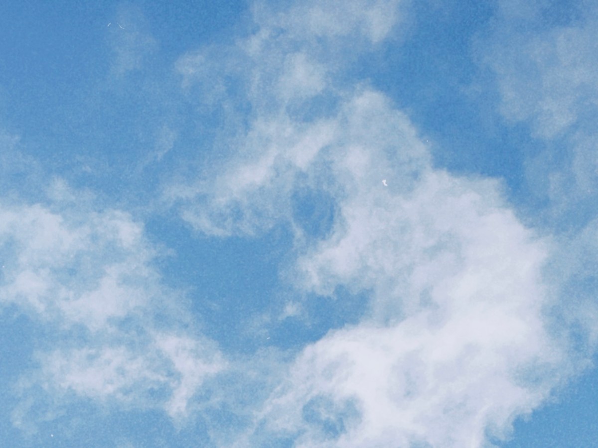 „Normal People“ – Wie mich Echtheit in ihren Bann&nbsp;zieht